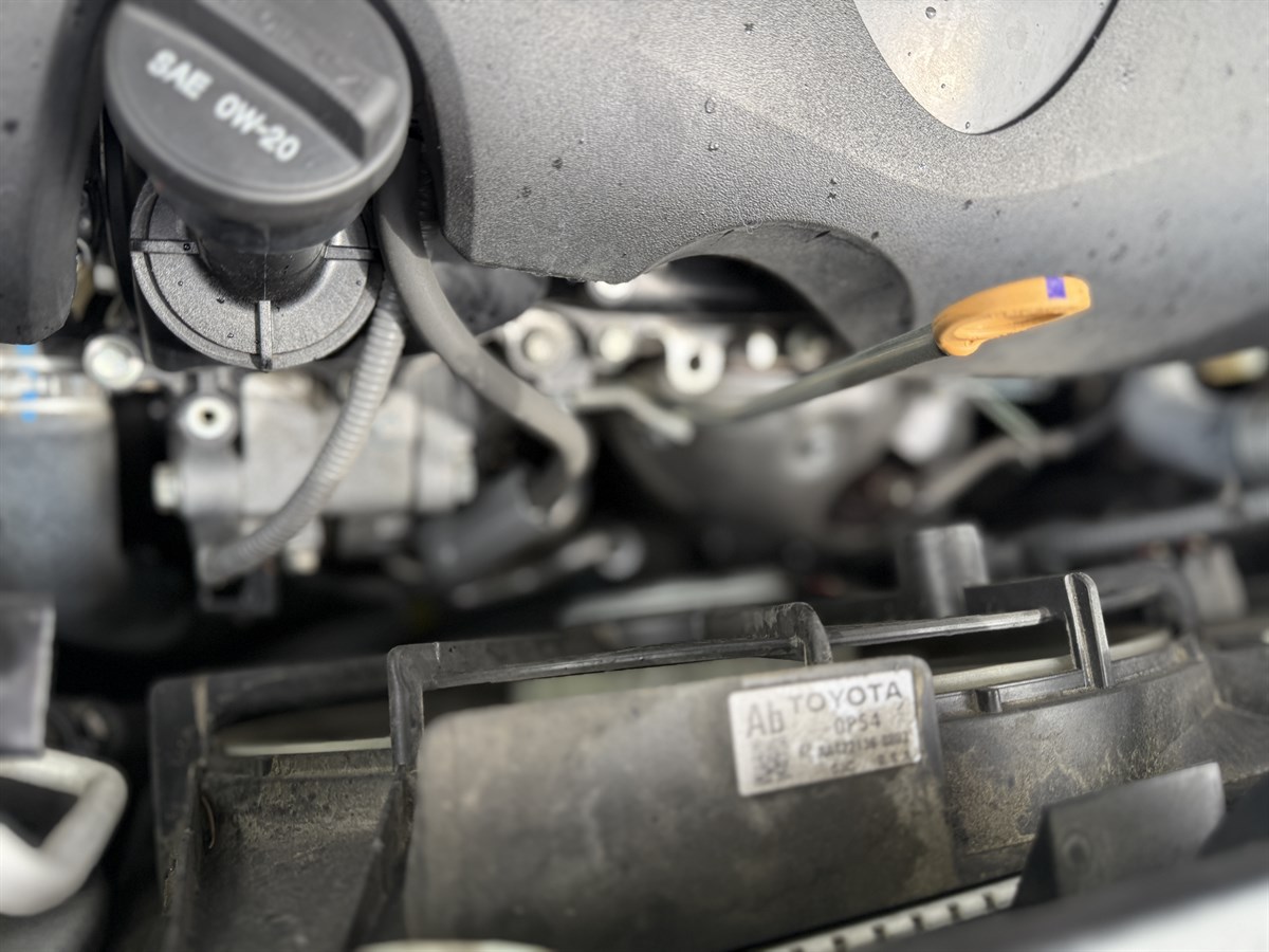 2019 Toyota Highlander SE photo 31
