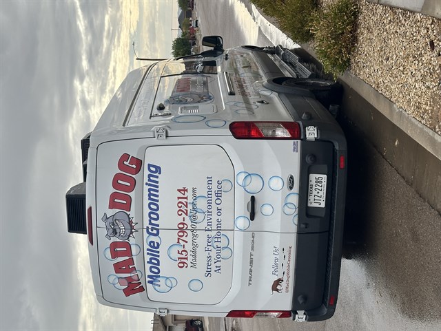 Ford Transit photo 10