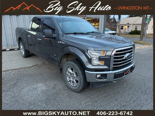 2017 Ford F-150 XLT's photo