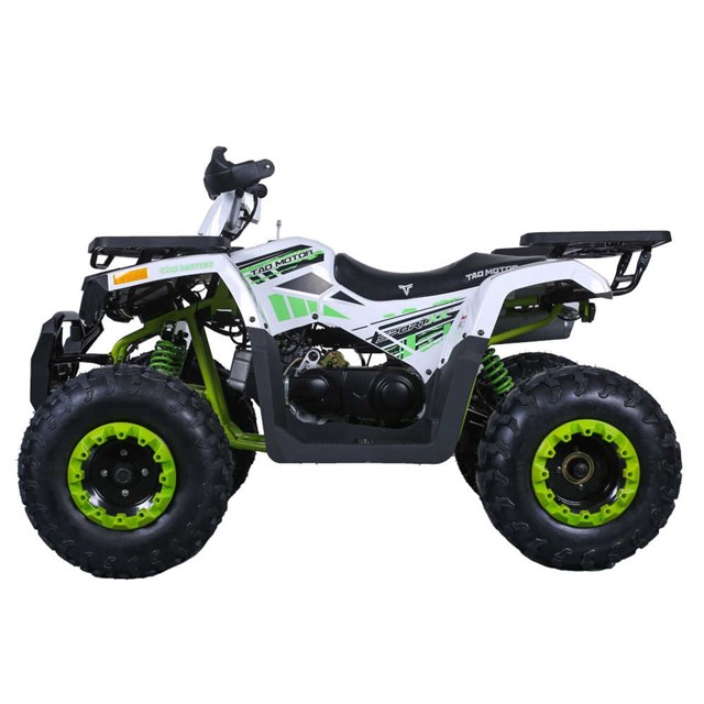 Tian Tao新品  ブラック&ホワイトポロ2 TaoTao DB20 107cc Dirt Bike | 107cc TaoTao Automatic Bike