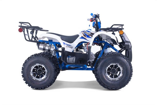 2022 TAO TAO TFORCE PLATINUM, Stock No: 2022 TAO TAO TFORCE