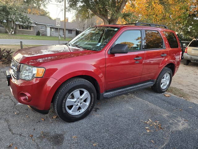 2009 Ford Escape XLT's photo