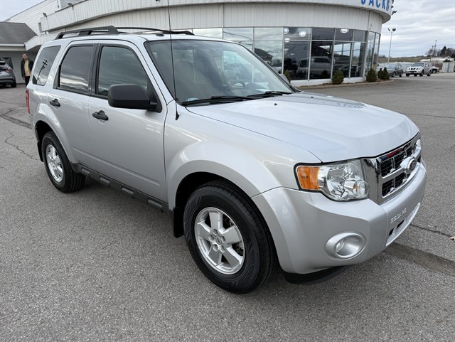 2010 Ford Escape XLT's photo