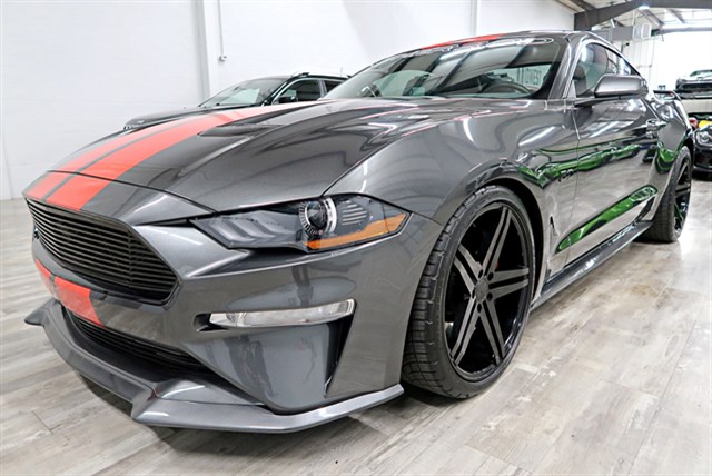 ★PHER★ MET sheared fur mustang 2019_ford_mustang_20230522_115