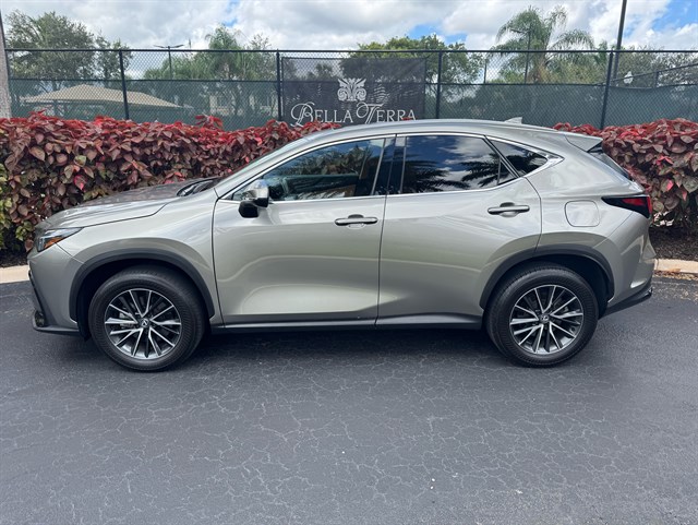 2024 Lexus NX 250's photo