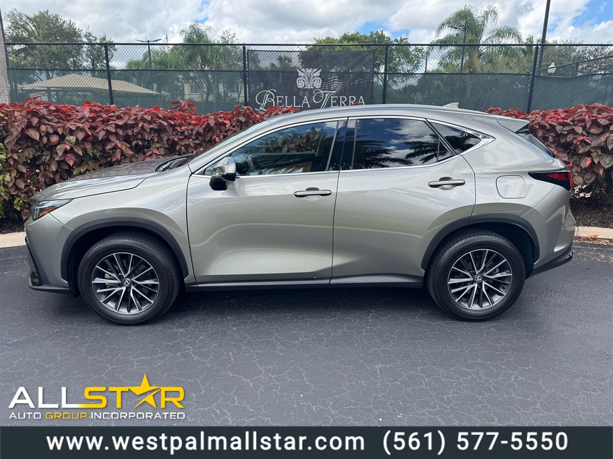 2024 Lexus NX 250's photo