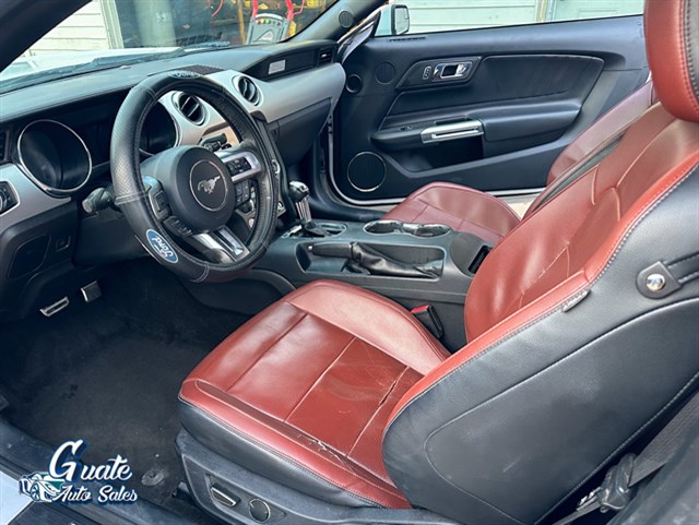 Ford Mustang photo 4