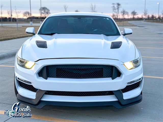 Ford Mustang photo 2