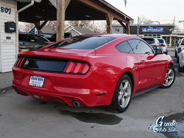 Ford Mustang photo 10