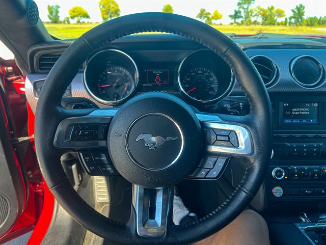 Ford Mustang photo 5