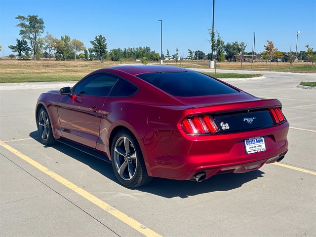 Ford Mustang photo 8
