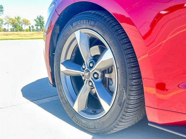 Ford Mustang photo 15