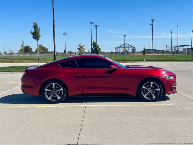 Ford Mustang photo 11