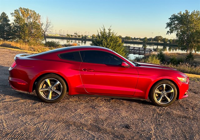 Ford Mustang photo 12