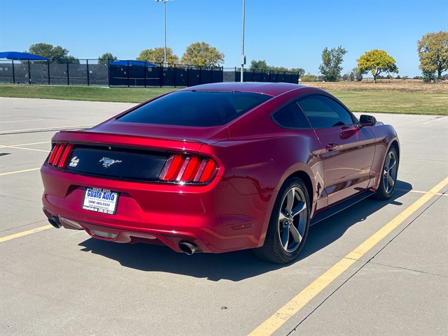 Ford Mustang photo 10