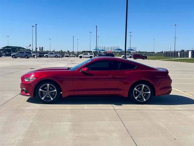 Ford Mustang photo 7