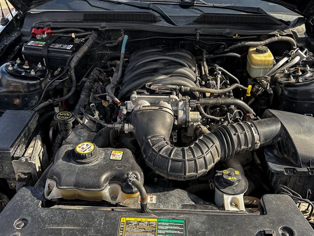 Ford Mustang photo 15