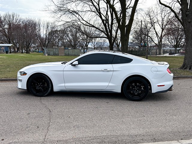 Ford Mustang photo 12