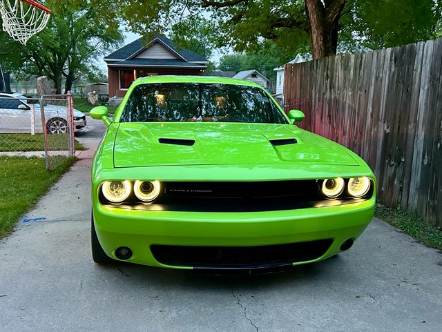 Dodge Challenger photo 2