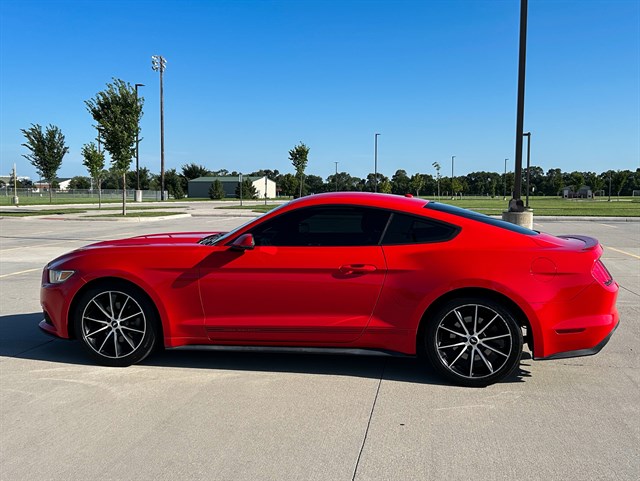 Ford Mustang photo 8