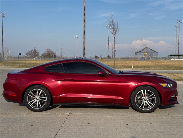 Ford Mustang photo 18