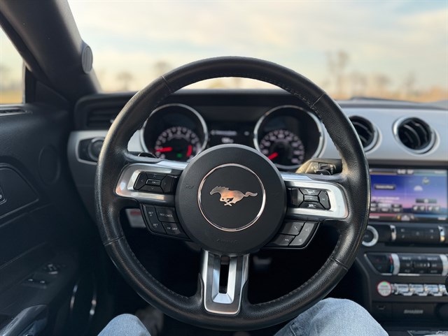 Ford Mustang photo 6