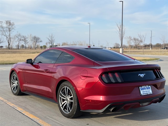 Ford Mustang photo 13