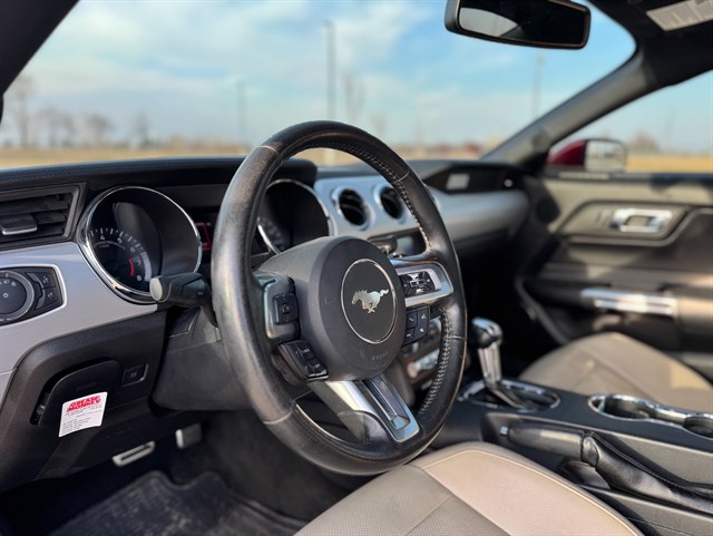 Ford Mustang photo 4