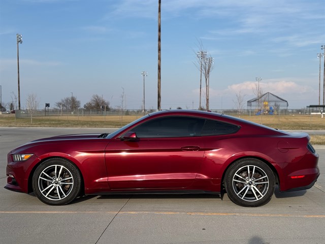 Ford Mustang photo 12