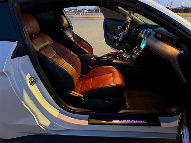 Ford Mustang photo 14