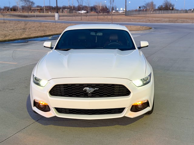 Ford Mustang photo 2