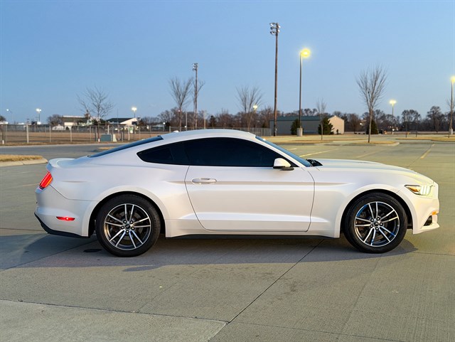 Ford Mustang photo 13