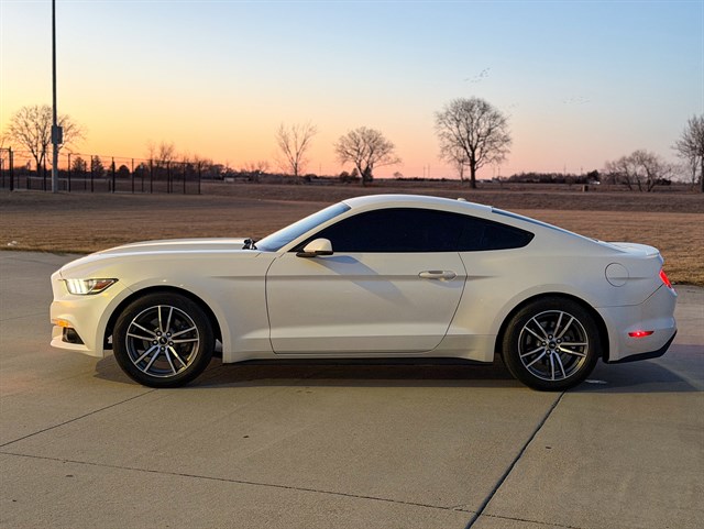 Ford Mustang photo 8