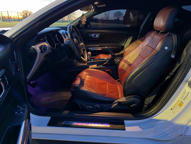 Ford Mustang photo 10