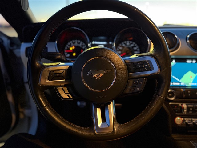 Ford Mustang photo 5