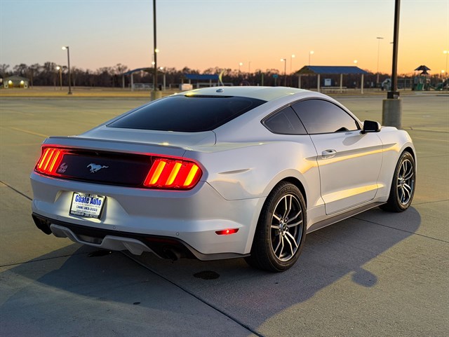 Ford Mustang photo 12
