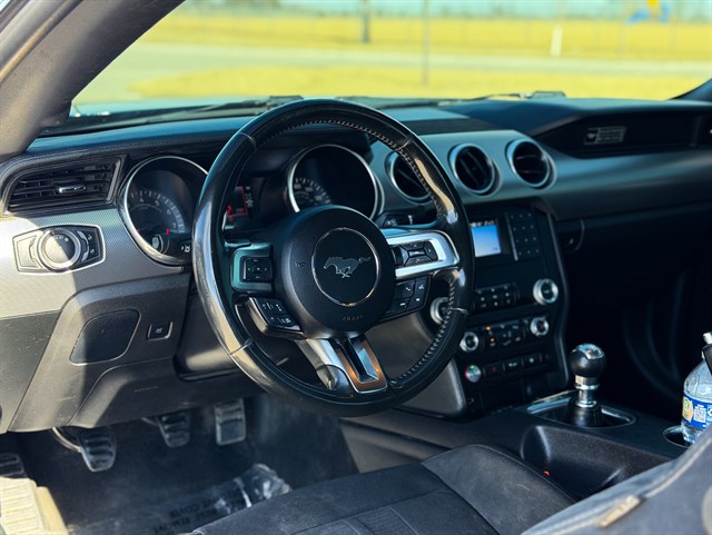 Ford Mustang photo 8