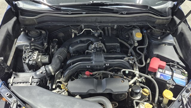 Subaru Forester photo 10