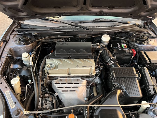カナダ 25セントカラーコイン ルビースロートハチドリ 2007 カナダ 25セントカラーコイン ルビースロートハチドリ 2007