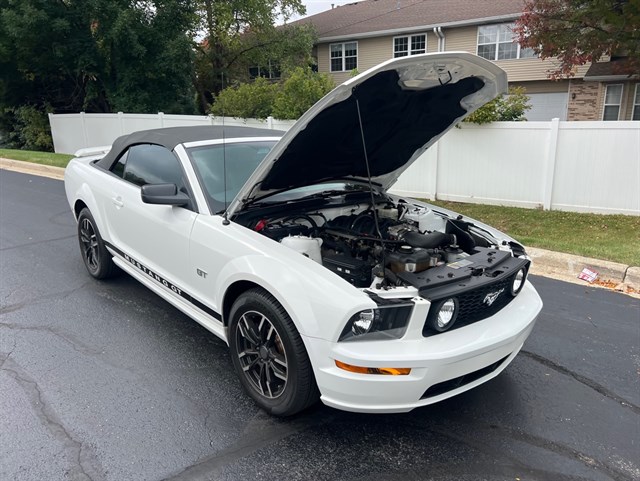 2006 FORD MUSTANG - Image 14