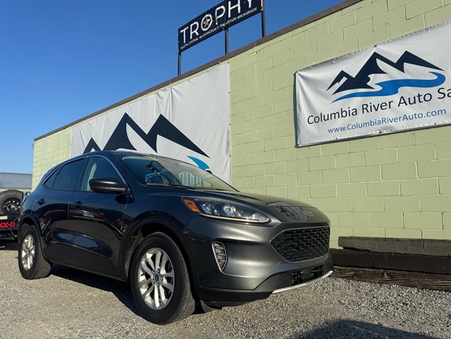 2020 Ford Escape SE's photo