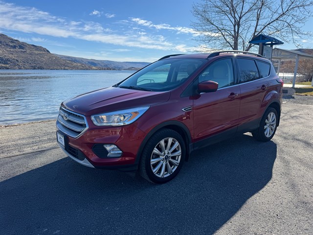 2019 Ford Escape SEL 4WD's photo