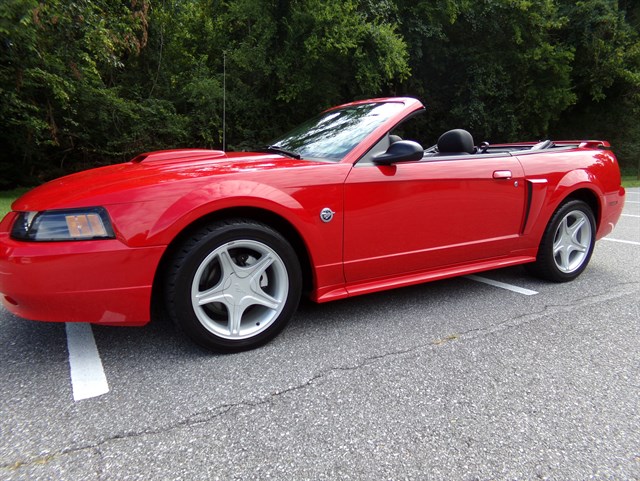 2004 Ford Mustang GT Premium's photo