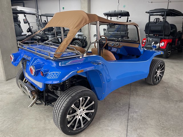 2025 REBEL BUGGY KOKOMO, Stock No: SJ136 by Coyne Carts And